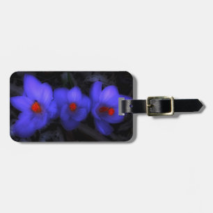 Beautiful Blue Purple Crocus Blooms Luggage Tag