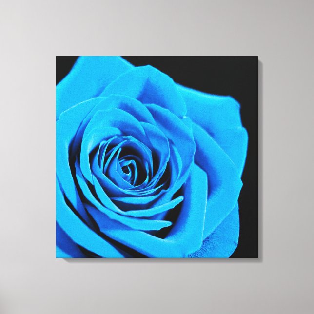 Beautiful blue rose canvas print (Front)