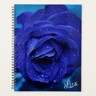 Beautiful Blue Rose Planner