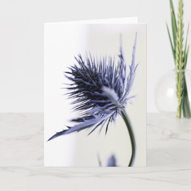 Beautiful Blue Sea Holly Flower Card (Front)