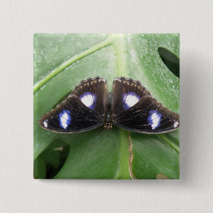 Beautiful Blue Spotted Butterfly Button