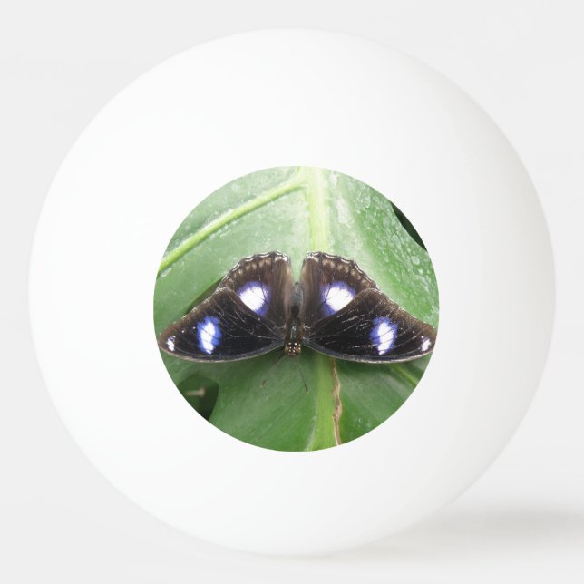 Beautiful Blue Spotted Butterfly Ping Pong Ball (Back)