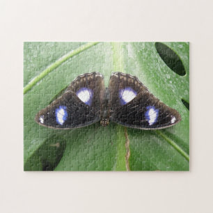 Beautiful Blue Spotted Butterfly Puzzle
