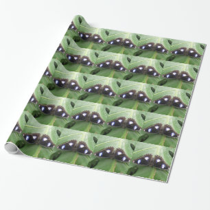 Beautiful Blue Spotted Butterfly Wrapping Paper