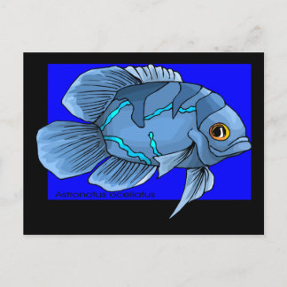 Beautiful Blue Tropical Oscar Fish Postcard