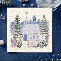 Beautiful Blue Winter Christian Wedding