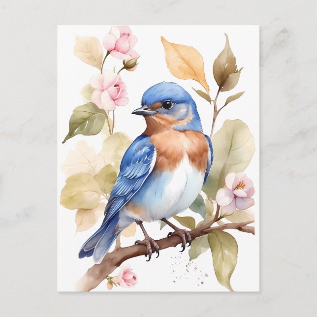 Beautiful Bluebird Watercolor Painting Postcard (Front)
