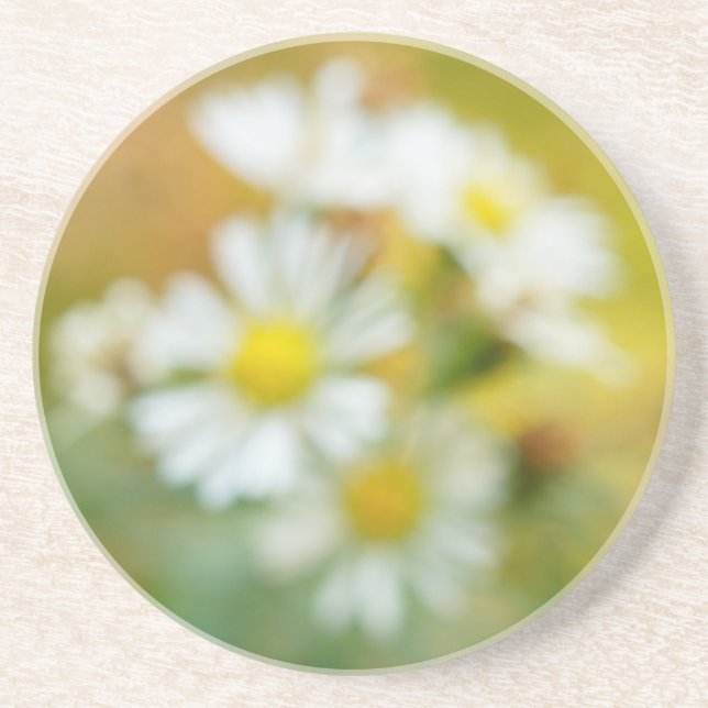 Beautiful Blur Daisies Coaster (Front)