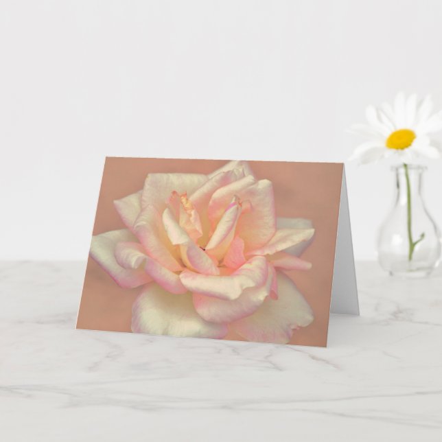 Beautiful Blush Pink Rose Flower Art Note Card (Small Plant)