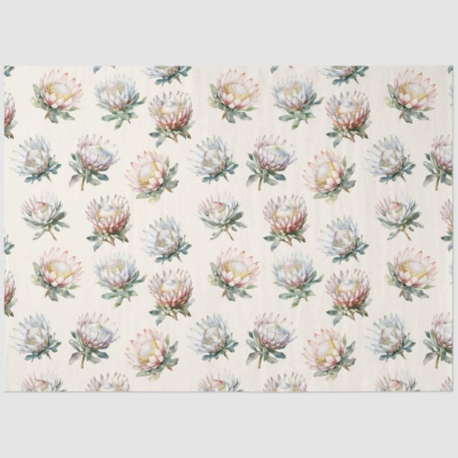 Beautiful blush white king protea flower pattern w tissue paper (Front)