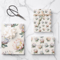 Beautiful blush white king protea flower pattern