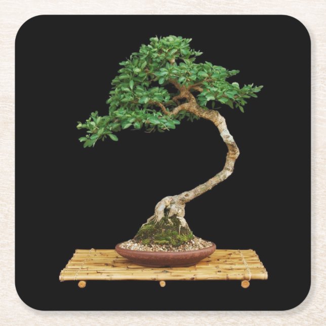 Beautiful Bonsai Tree Coaster Set (Front)