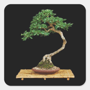 Beautiful Bonsai Tree Sticker Set