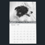 Beautiful Border Collie Dog Calendar<br><div class="desc">This Beautiful Border Collie Dog Calendar features lovely photos to make you smile throughout the year. A perfect New Years gift for any dog lover. Images exclusive to Zazzle ©</div>