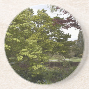 Beautiful botanical garden. coaster