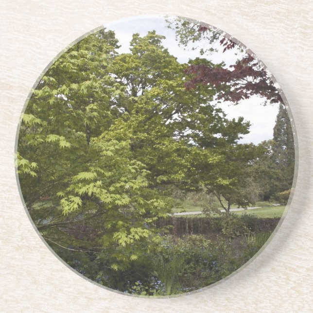 Beautiful botanical garden. coaster (Front)