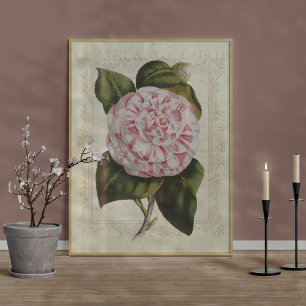 Beautiful Botanical Print Camellia Flower
