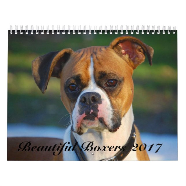 Beautiful Boxers 2017 Calendar (Cover)