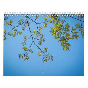 beautiful branch with green and yellow leaves hug calendar