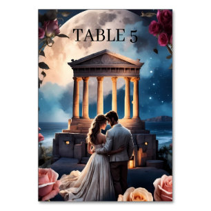 Beautiful Bride & Groom Standing by the Sea Table Number