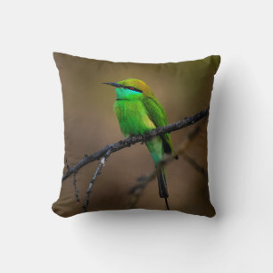 Beautiful Bright Green Bird on a Thin Twig Cushion