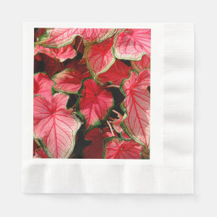 BEAUTIFUL BRIGHT-PINK CALADIUM PLANTS NAPKIN