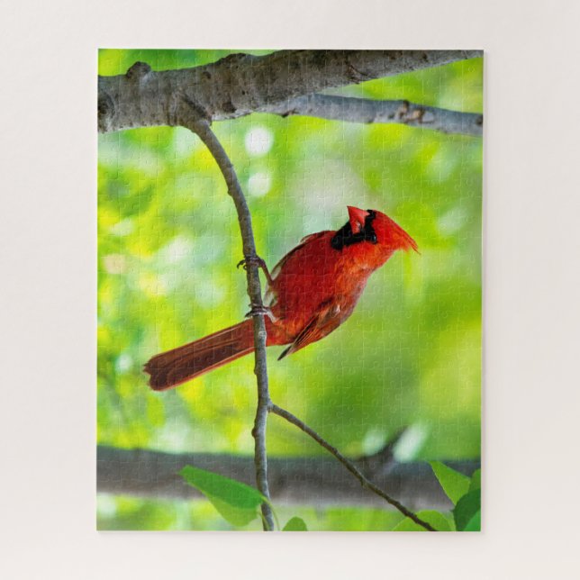 Beautiful Bright Red Cardinal in a Tree Jigsaw Puzzle (Vertical)