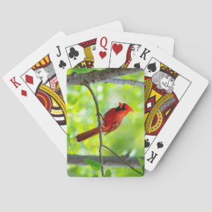 Beautiful Bright Red Cardinal in a Tree Playing Cards