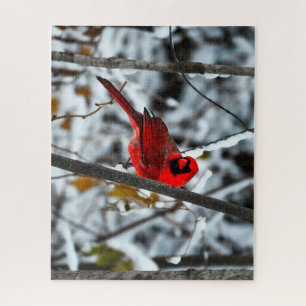 Beautiful Bright Red Cardinal in the Snow Jigsaw Puzzle
