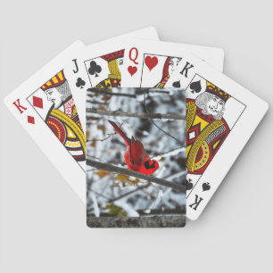 Beautiful Bright Red Cardinal in the Snow Playing Cards