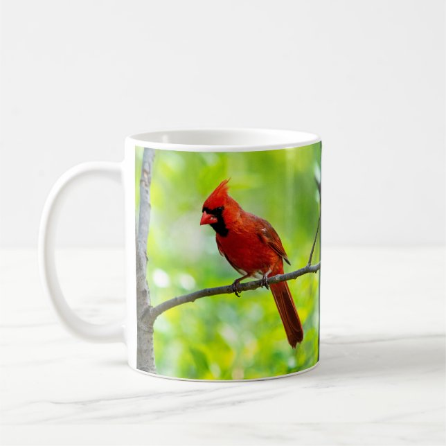 Beautiful Bright Red Cardinal on a Branch Coffee Mug (Left)