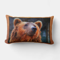 Beautiful Brown Bear Portrait Wildlife Photo