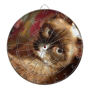Beautiful Brown Cat Dartboard