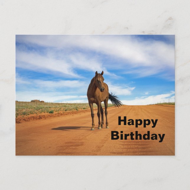 Beautiful Brown Horse Road Photo Birthday Postcard (Front)