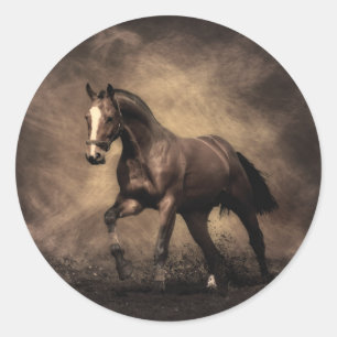 Beautiful brown horse throw pillow classic round sticker