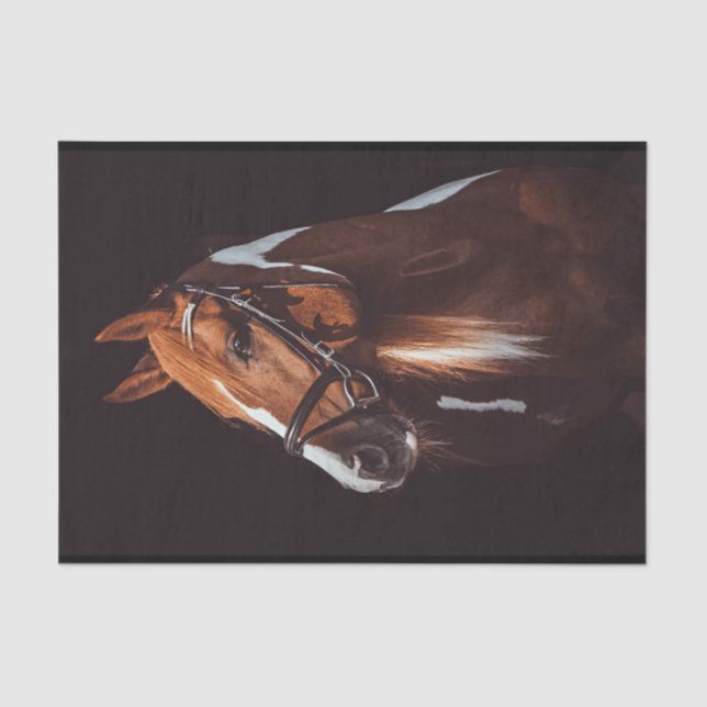Beautiful Brown Paint Horse Portrait Photo Tissue Paper (Front)