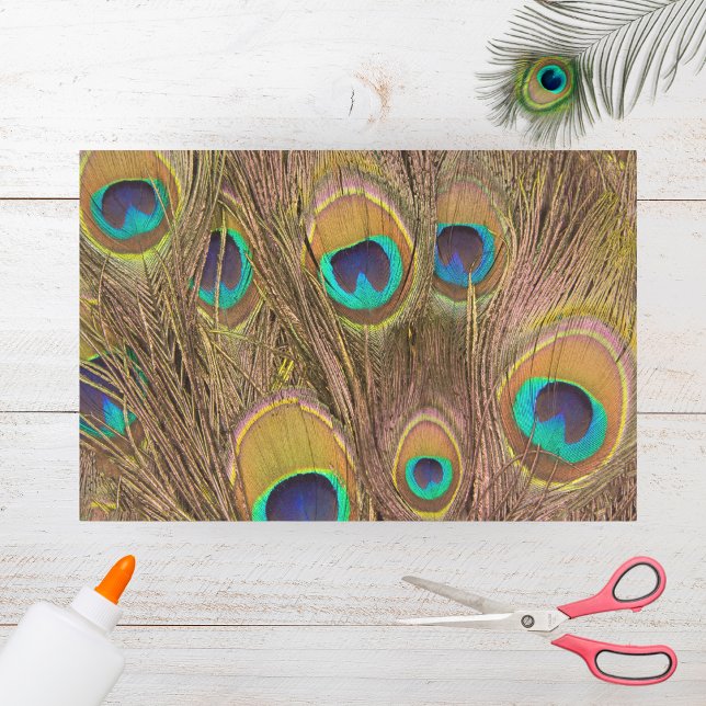 Beautiful Brown Peacock Feathers Tissue Paper (Creator Uploaded)