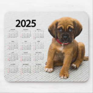 Beautiful Brown Puppy 2025 Dog Calendar Mouse Pad