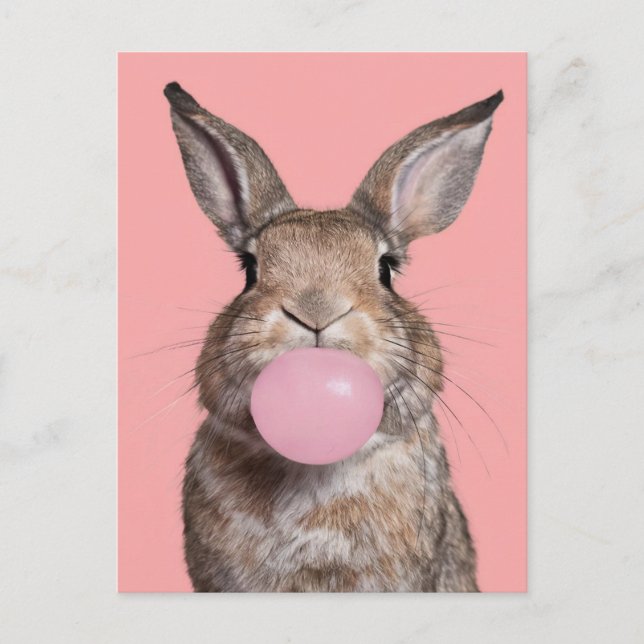 Beautiful Brown Rabbit Chewing Bubble Gum Postcard (Front)