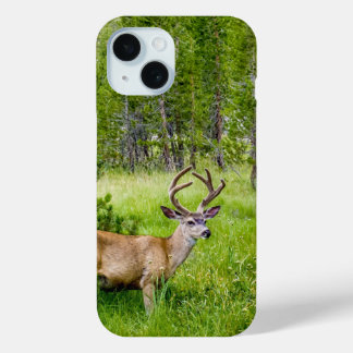 Beautiful Buck in the Meadow Phone Case