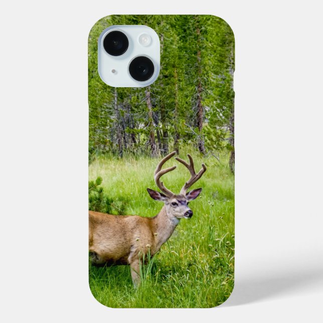Beautiful Buck in the Meadow Phone Case (Back)
