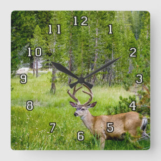 Beautiful Buck in the Meadow Wall Clock