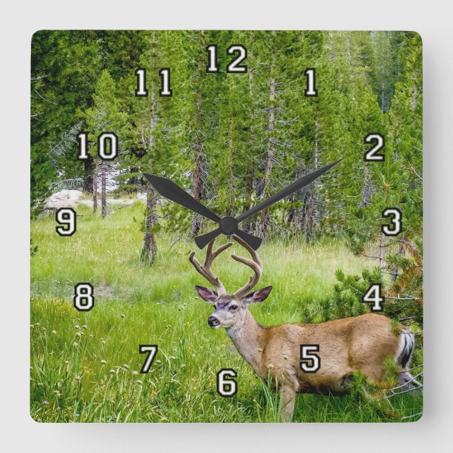 Beautiful Buck in the Meadow Wall Clock (Front)