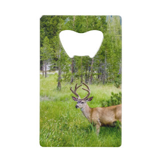Beautiful Buck... Stainless Steel Bottle Opener