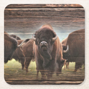 Beautiful Buffalo Herd Square Paper Coaster