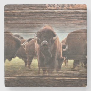 Beautiful Buffalo Herd Stone Coaster