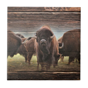 Beautiful Buffalo Herd Tile