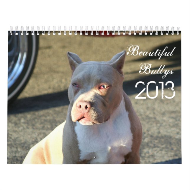Beautiful Bullys 2013 Dog Calendar (Cover)