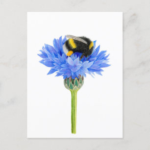 Beautiful Bumblebee Drawing  Postcard