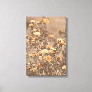 Beautiful Burnt Orange Coloured Wildflower Floral Canvas Print